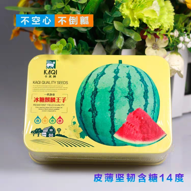 卡其冰糖麒麟王子西瓜种子籽早熟果大皮薄瓜农田园基地种植专用