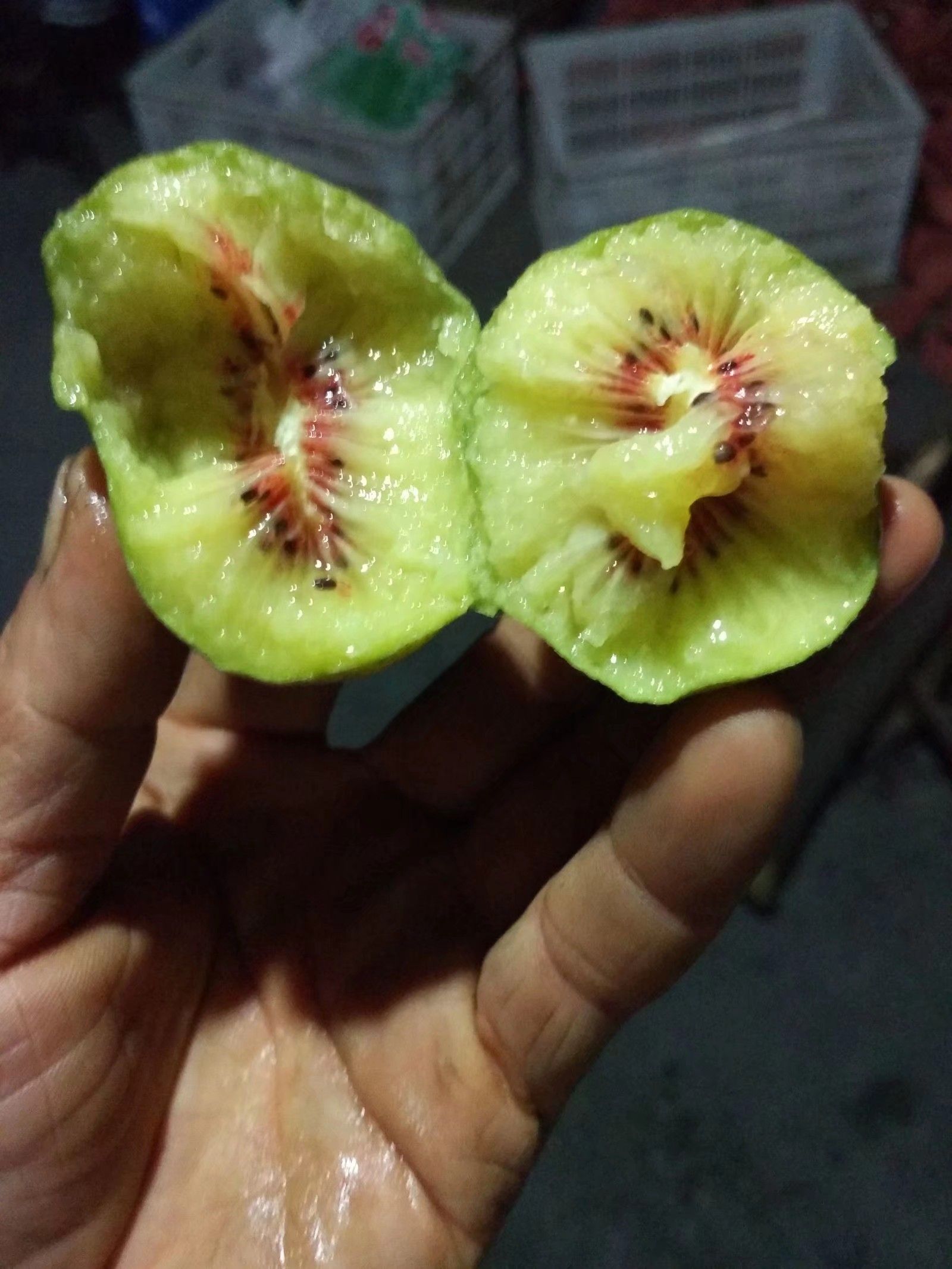  沐川红心猕猴桃200斤起批