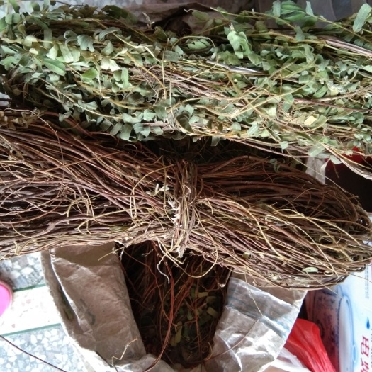 紫金县 鸡骨草