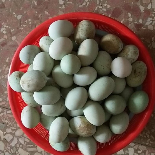 洞口县红心鸭蛋 食用 箱装