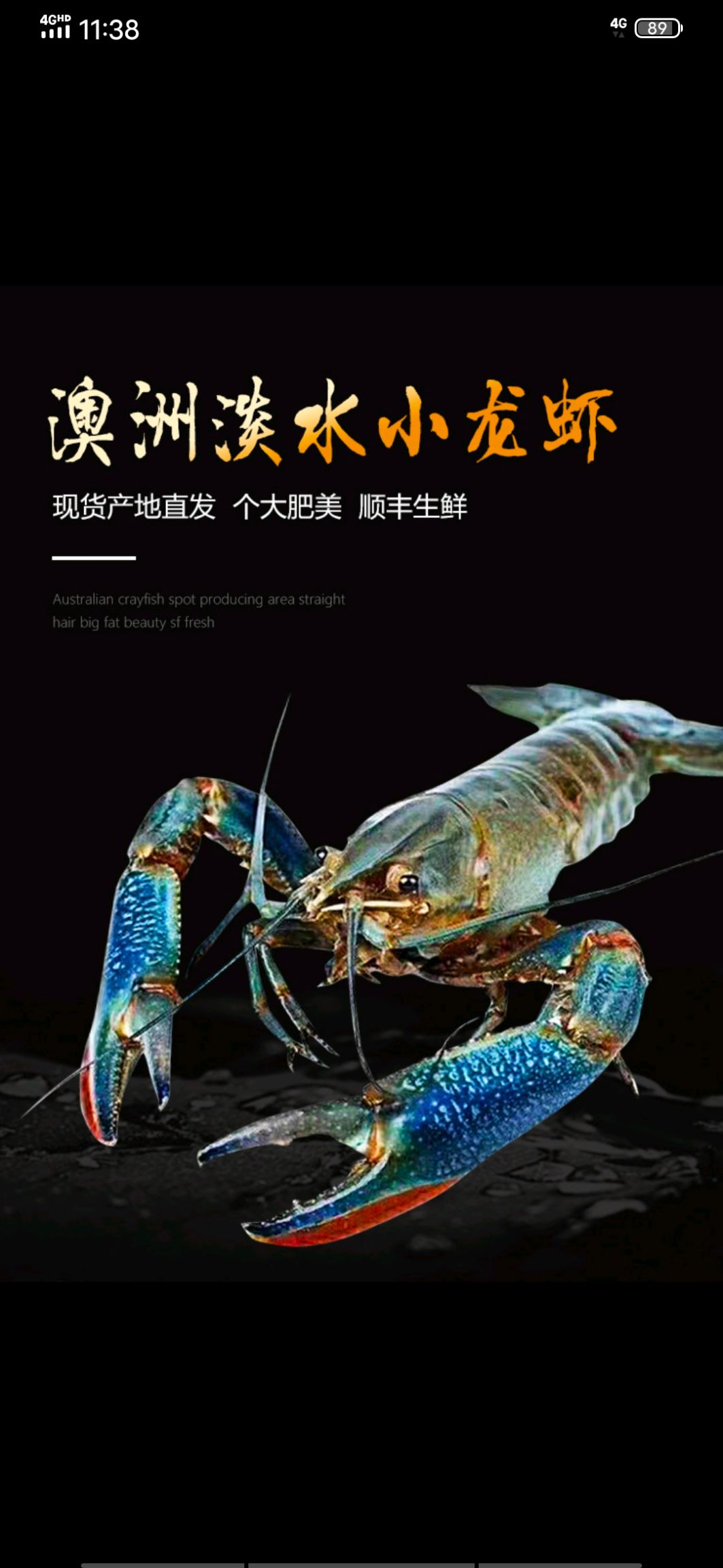  优质海南澳洲淡水小龙虾