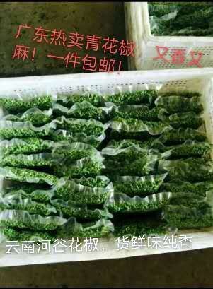 元谋县 广东热卖青花椒，特麻特香。云南花椒