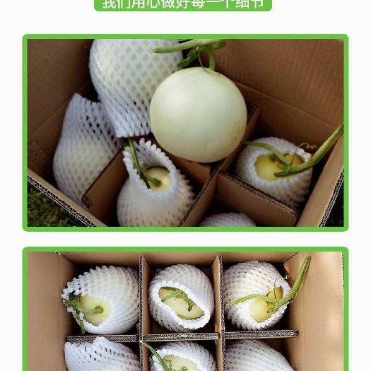 桂林网袋 广西桂林香瓜网套西瓜保护套定做批发