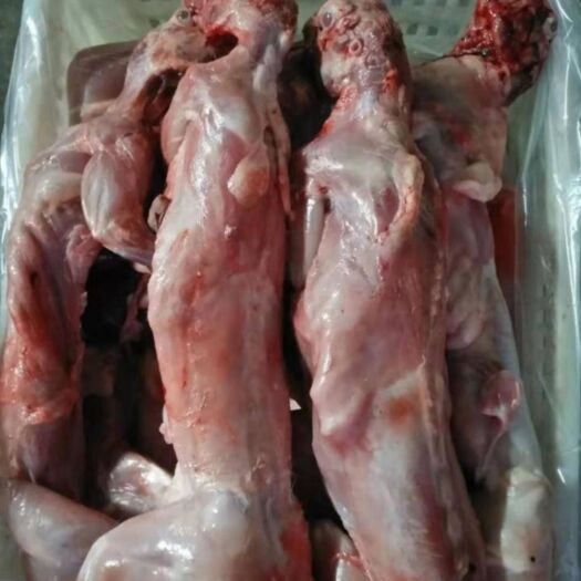 盐城 供应剥皮去头去肝活杀新鲜冷冻兔肉