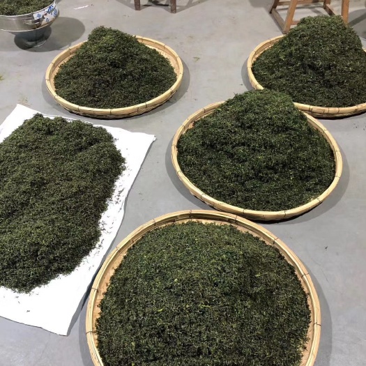 日照 绿茶 日照绿茶原产地供应 自产自销