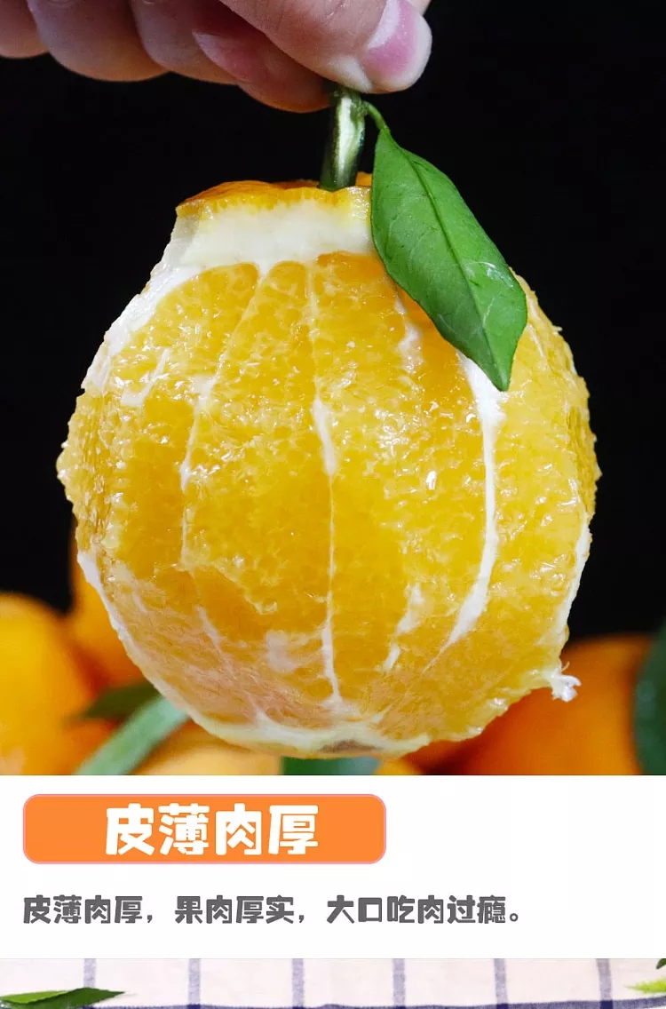 【湖北秭归伦晚脐橙】橙中之皇新鲜应季水果现摘现发橙