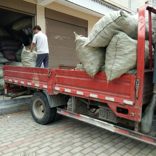 山阳县干葛根 葛根