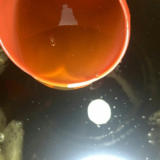 南安市 土中蜂蜜