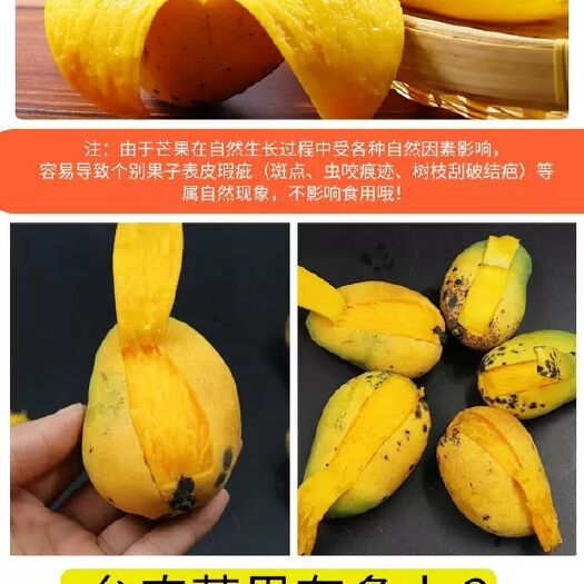 海口 海南小台农芒果10斤新鲜水果无丝小核热带应季青整箱批发当季包