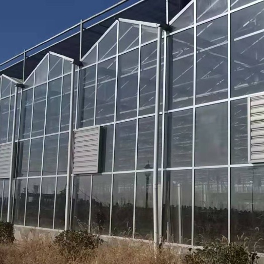 泊头市 玻璃温室大棚
