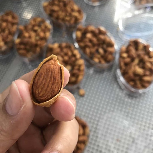 东兴市 奶香味巴旦木，大果！新果