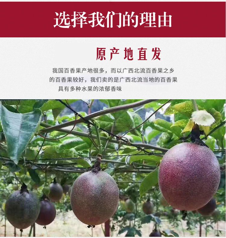 广西云南百香果5斤大果新鲜应季白香果酸甜水果包邮