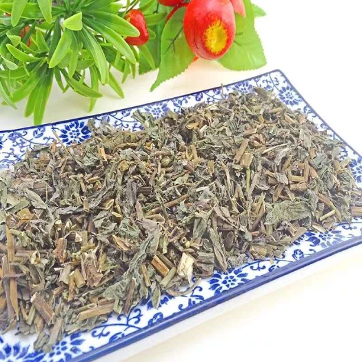 中药材败酱草败酱