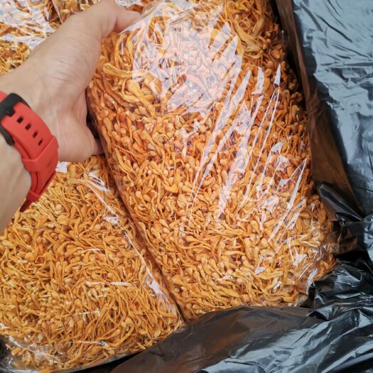 广州虫草花蛹虫草《产地一手大货批发》一件代发，无硫足干