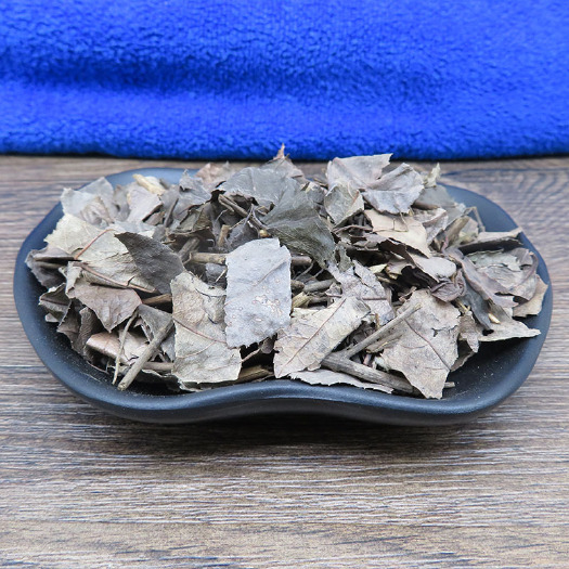亳州 矮地茶   平地木