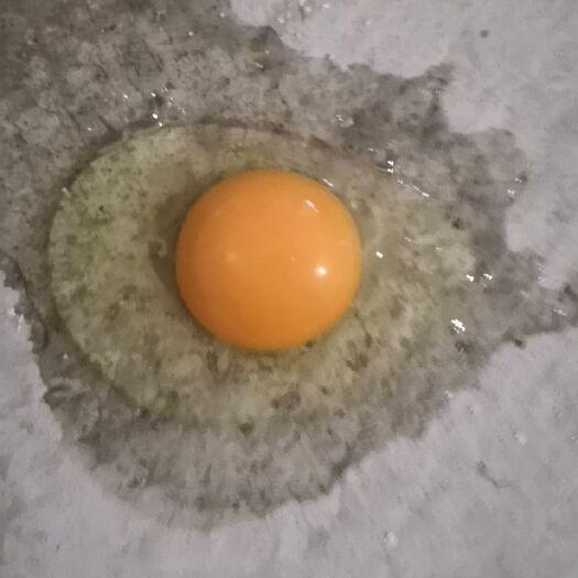 霍邱县粉壳蛋  草鸡蛋黑凤