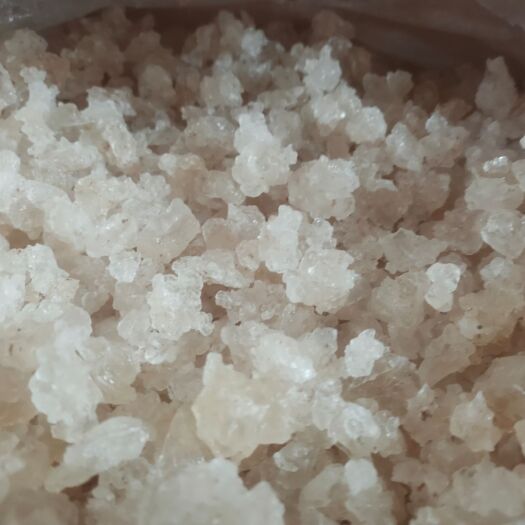 成都雪燕  需要可以现货拍现货