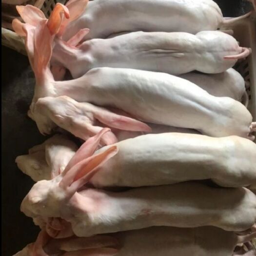 盐城 活杀冷冻新鲜带皮生兔肉