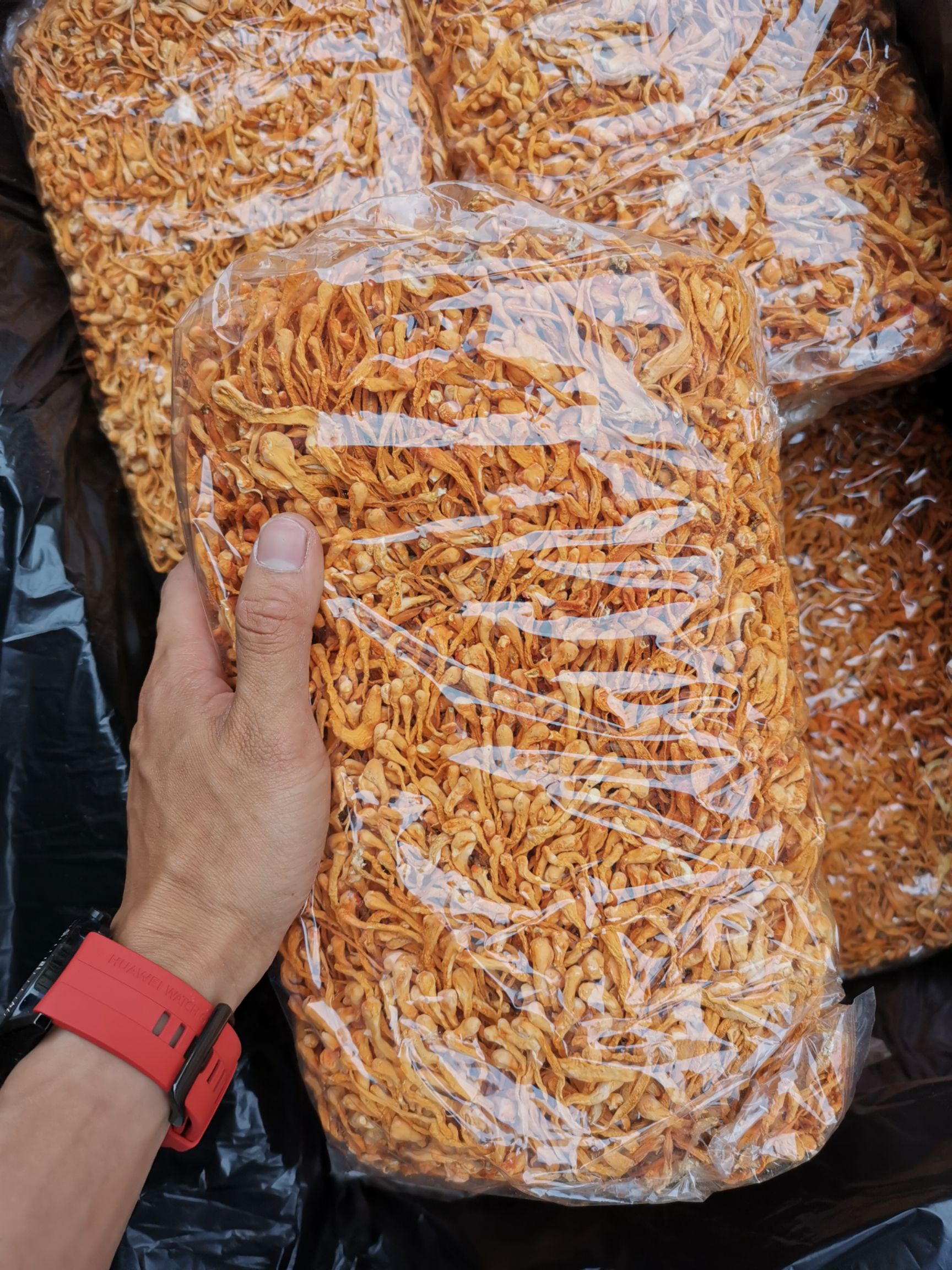 虫草花蛹虫草《产地一手大货批发》一件代发，无硫足干