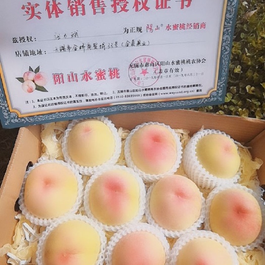 无锡 正宗阳山水蜜桃，批发