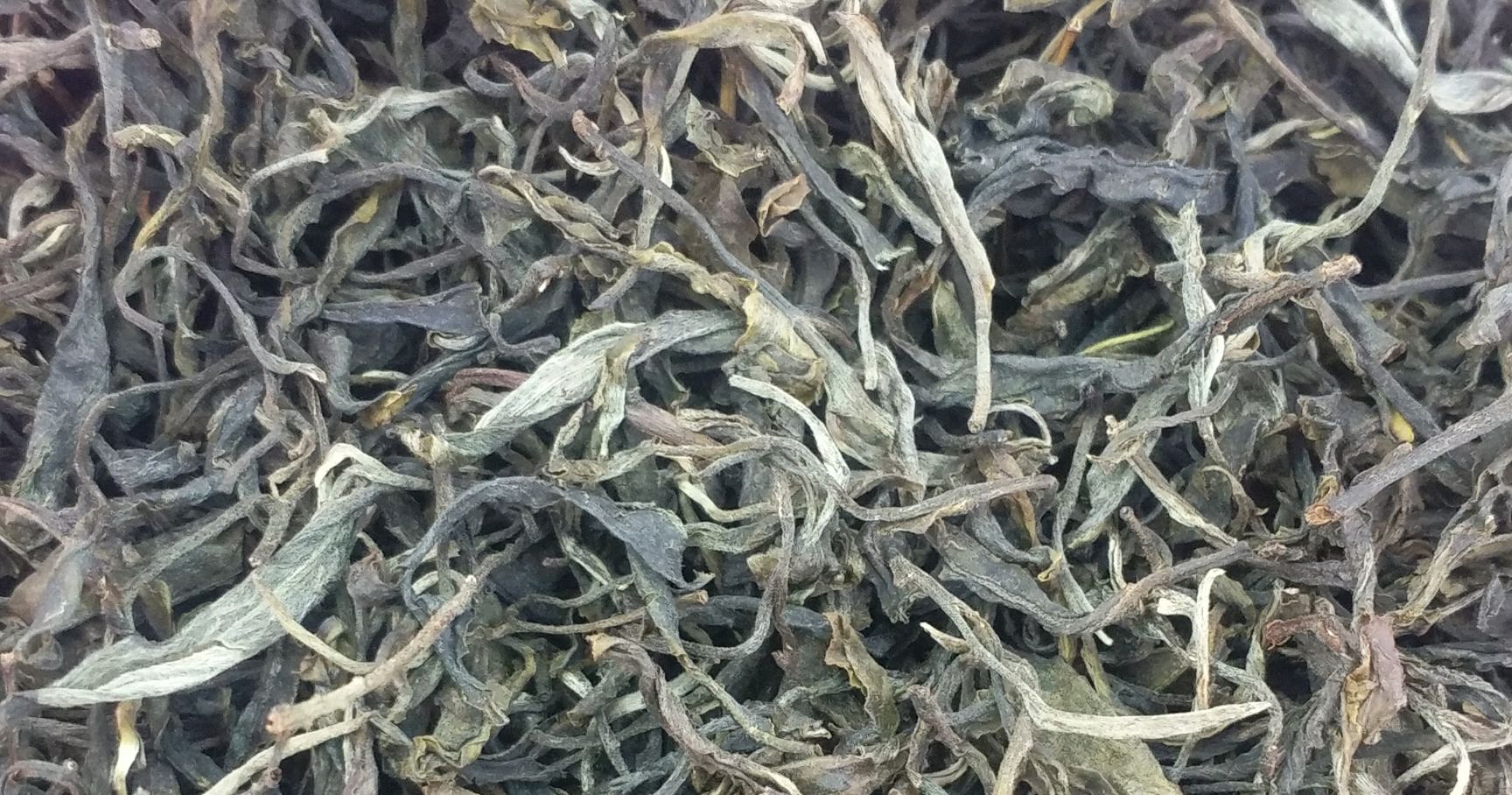 云南绿茶 农村自家茶5斤，云南