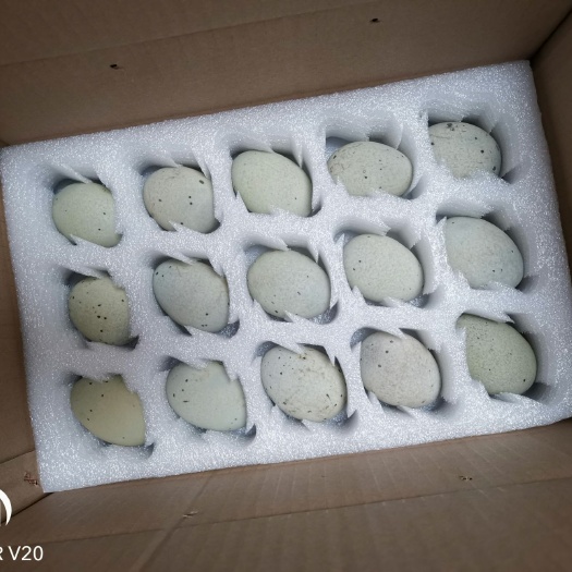 衡东县 溏心皮蛋~（50g~60g）180枚，145元/箱
