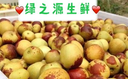 大棚冬枣基地现摘现发3斤5斤装一件代发快递包邮