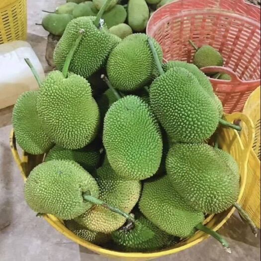 龙州县 越南榴莲蜜