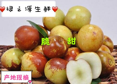 大棚冬枣基地现摘现发3斤5斤装一件代发快递包邮