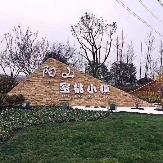 无锡 正宗阳山本地自家种植阳山水蜜桃