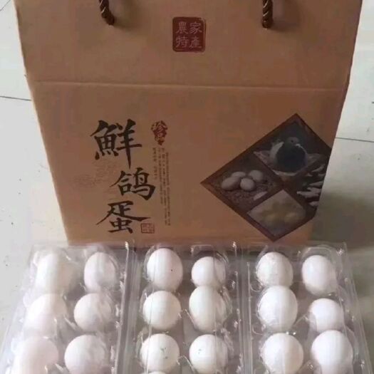 方城县白鸽蛋 食用 箱装