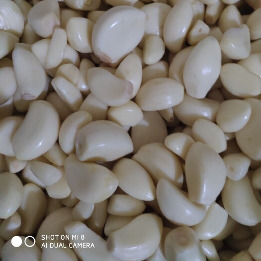 兰陵县供应高标准优质蒜米