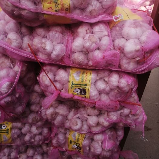 金乡县 好质量大蒜
