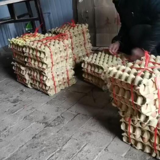 阜南县 土鸡蛋，菜鸡蛋供应规格下方