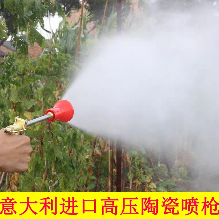 噴霧器 高壓噴霧槍果樹園林打藥機(jī)可調(diào)霧化手壓槍水槍