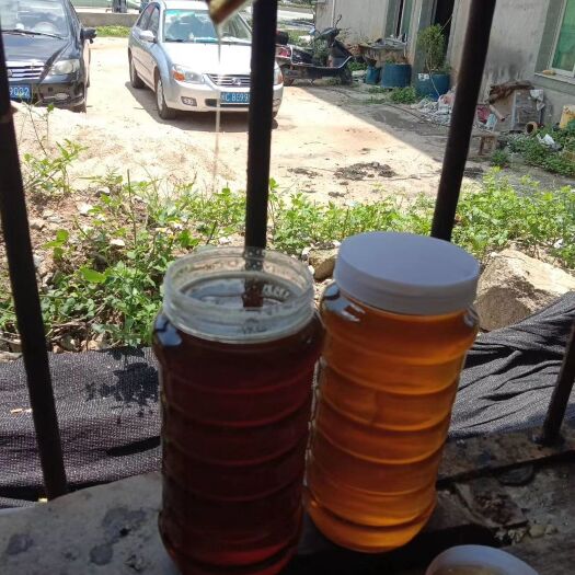 泉州 龙眼蜜和荔枝蜜