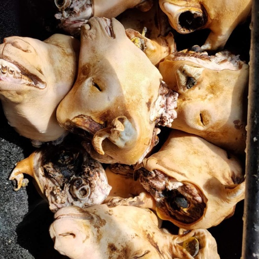 盐池县 羊头  羊腿 羊杂 羊下水
