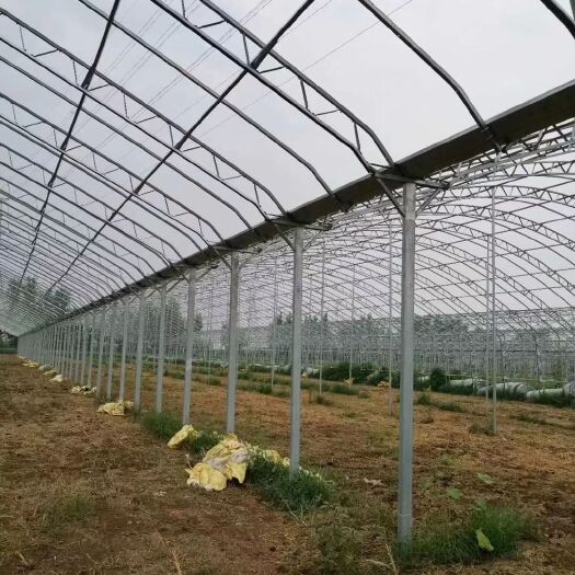 天津养殖大棚骨架 冷棚，暖棚，连栋大棚大棚按装一站式的服务