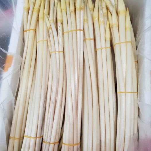 武汉 自种藕带