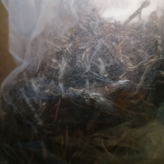 孟连县大叶柴胡 云南        清凉可口。