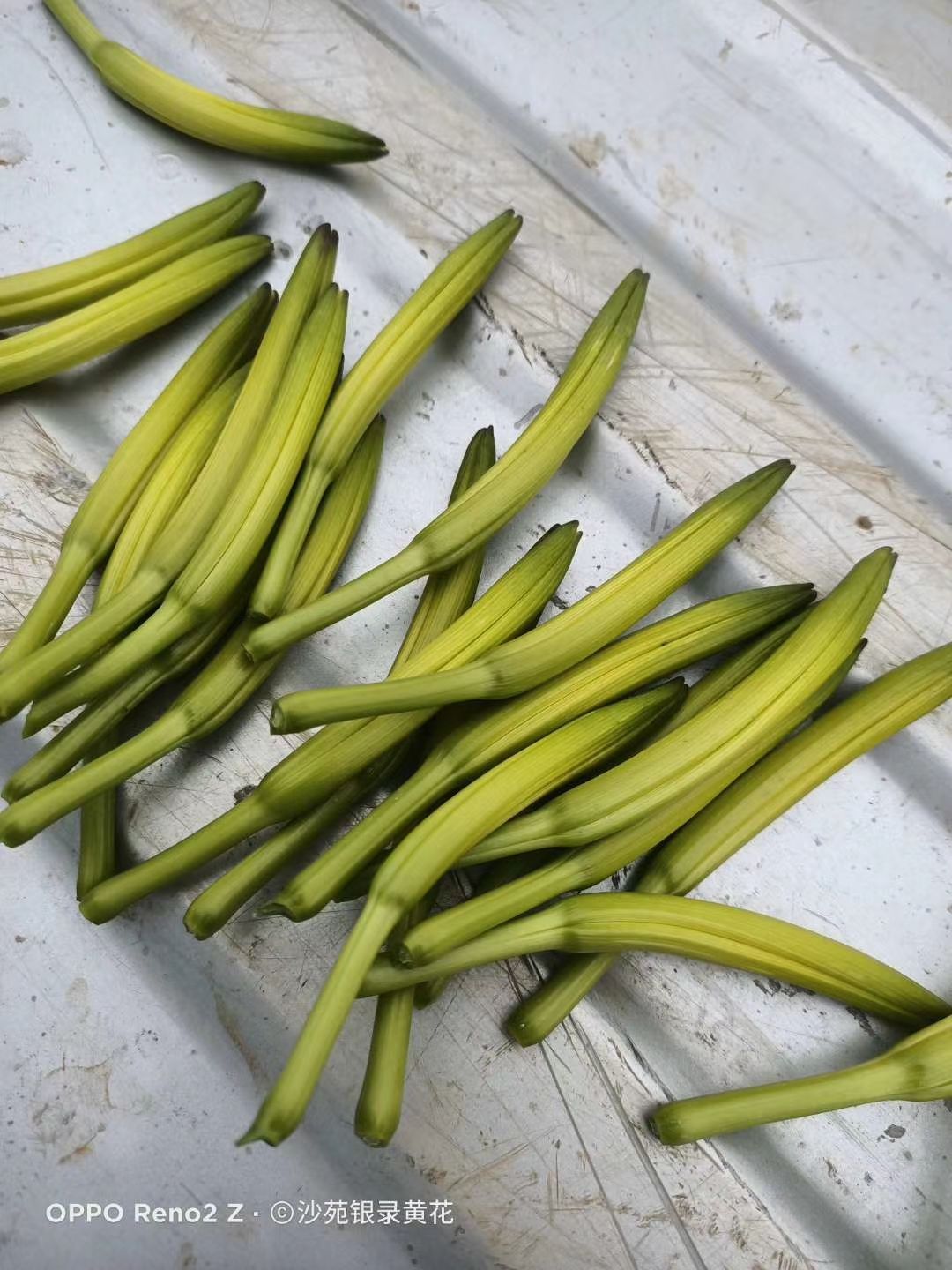 黄花菜  大荔农户全干菜，，