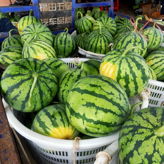 麒麟西瓜  久甜二号，美都无籽，大量有货，产地直发
