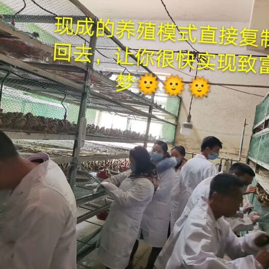 昆明养殖设备 搞养殖，我们是专业的！