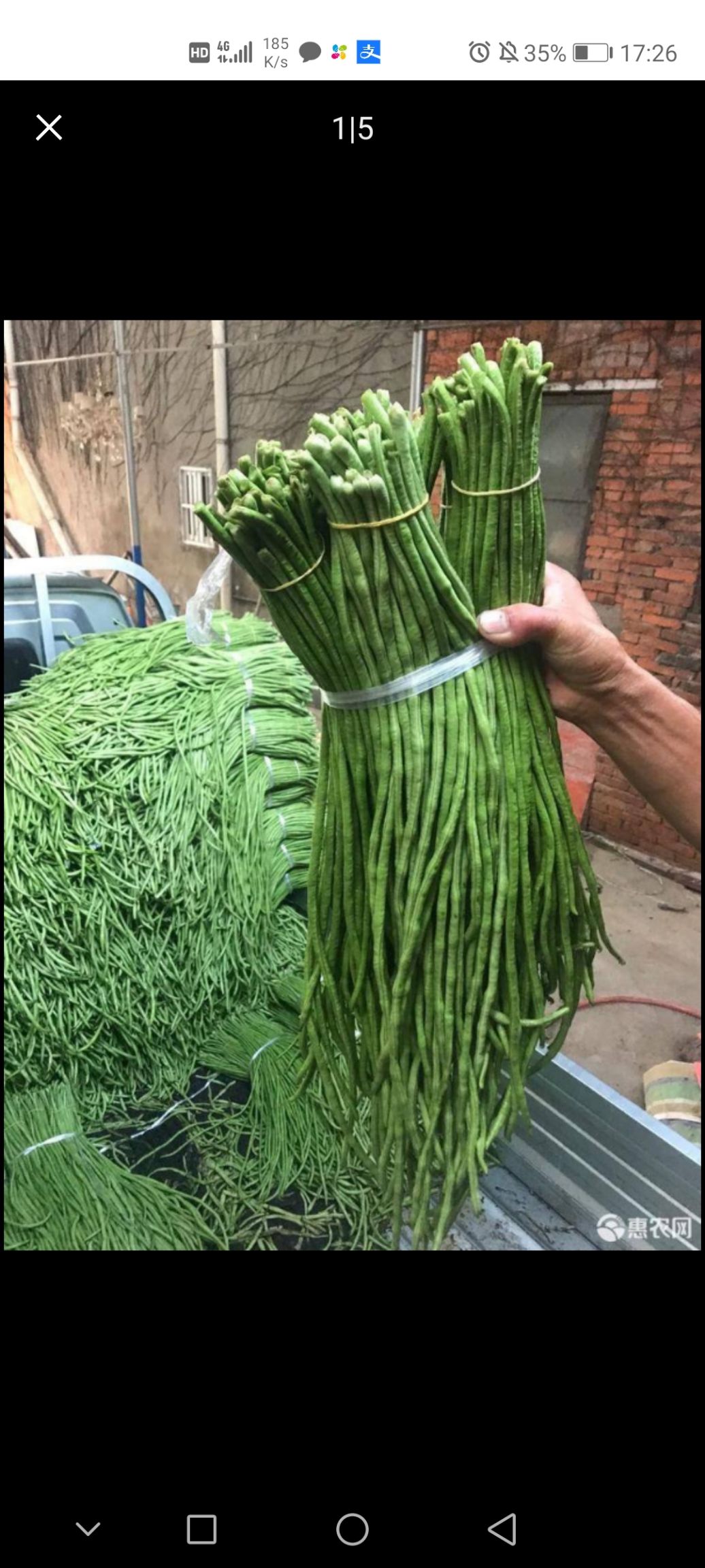 长豇豆 品质优