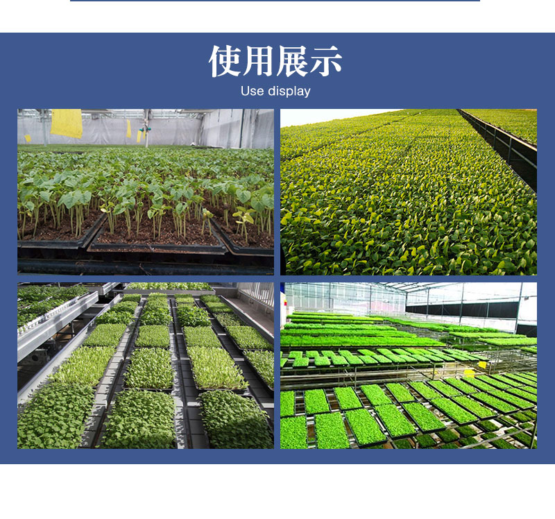 穴盘/育苗盘 穴盘 育苗盘 瓜果蔬菜盘 多肉盘