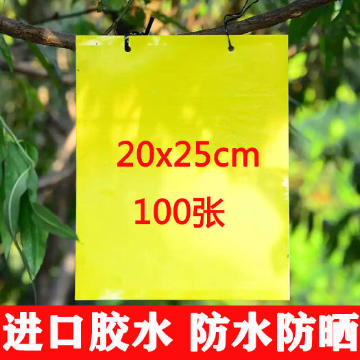 曹县双面加厚覆膜防水强力诱虫板大棚果园茶园粘蚜虫飞虫蓟马粘虫板