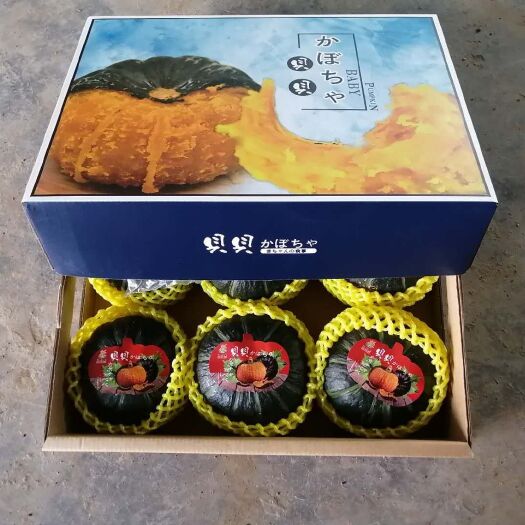 寿光市真贝贝南瓜粉糯香甜支持一件代发支持微商落地配小宝宝南瓜