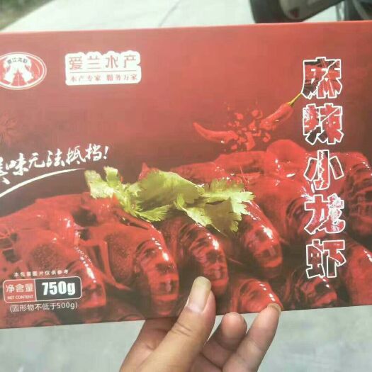 潜江市潜江小龙虾 潜江爱兰水产公司