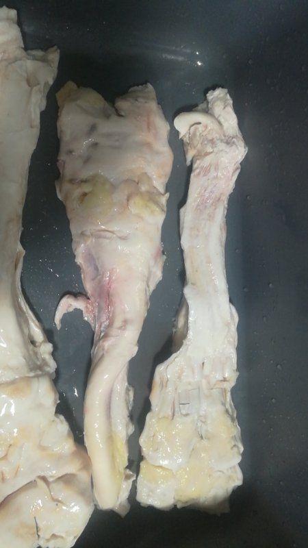 牛蹄筋 去皮去骨牛蹄
