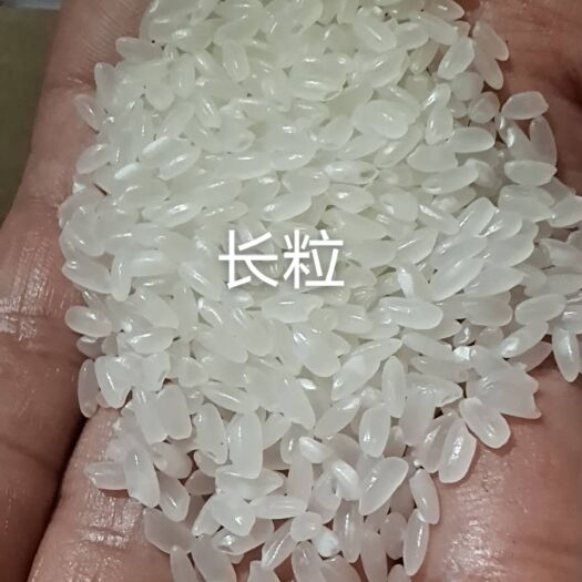 白城 东北大米长粒香米